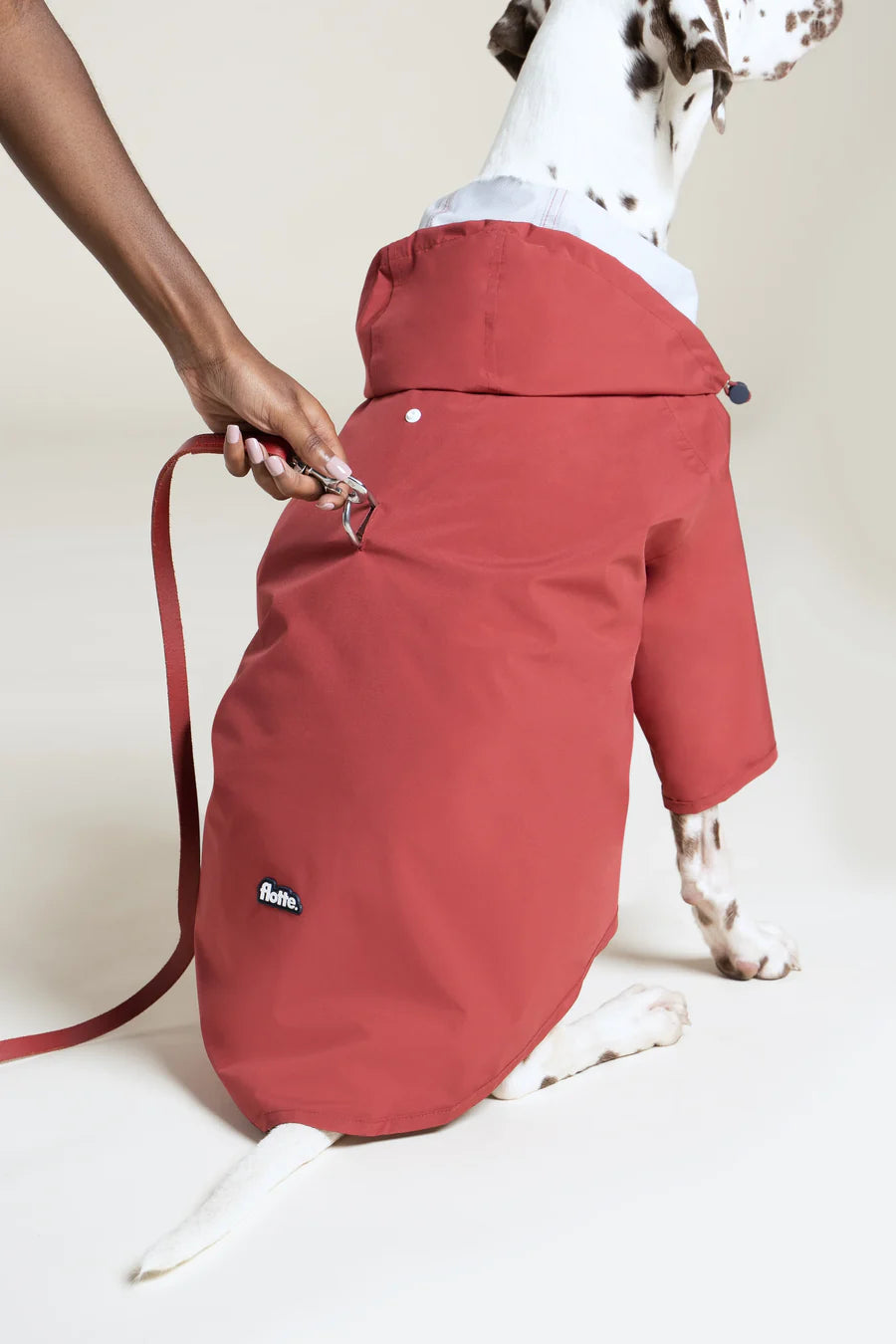 Imperméable pour chien - Flotte.
