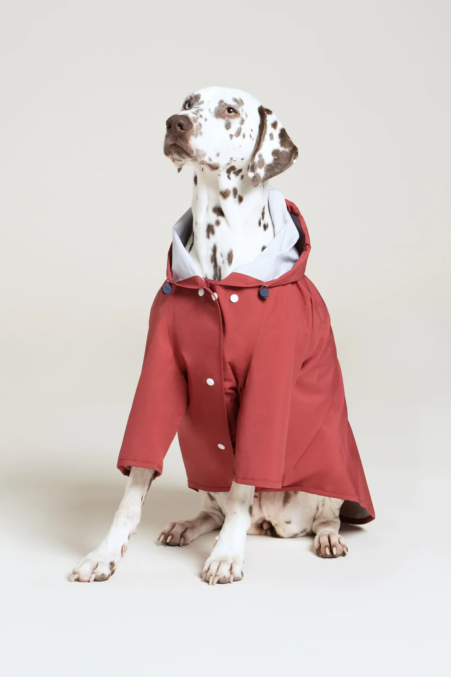 Imperméable pour chien - Flotte.