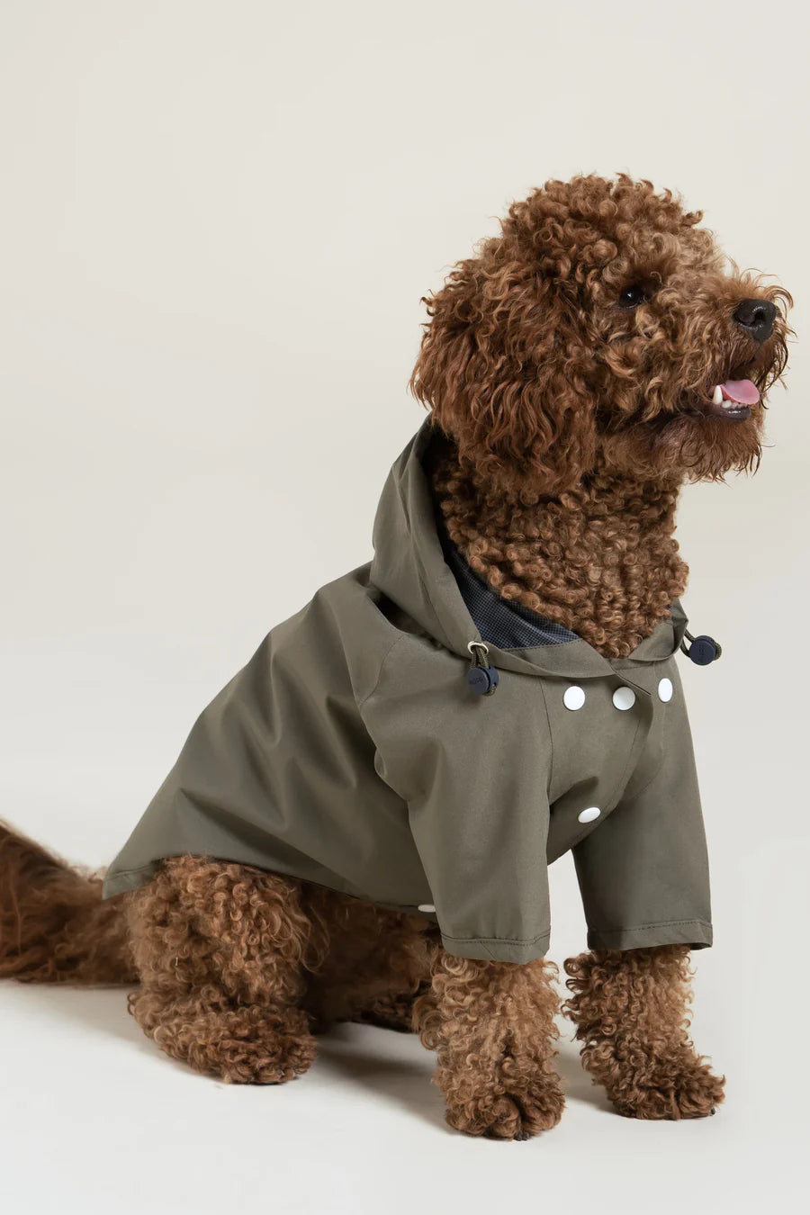 Imperméable pour chien - Flotte.