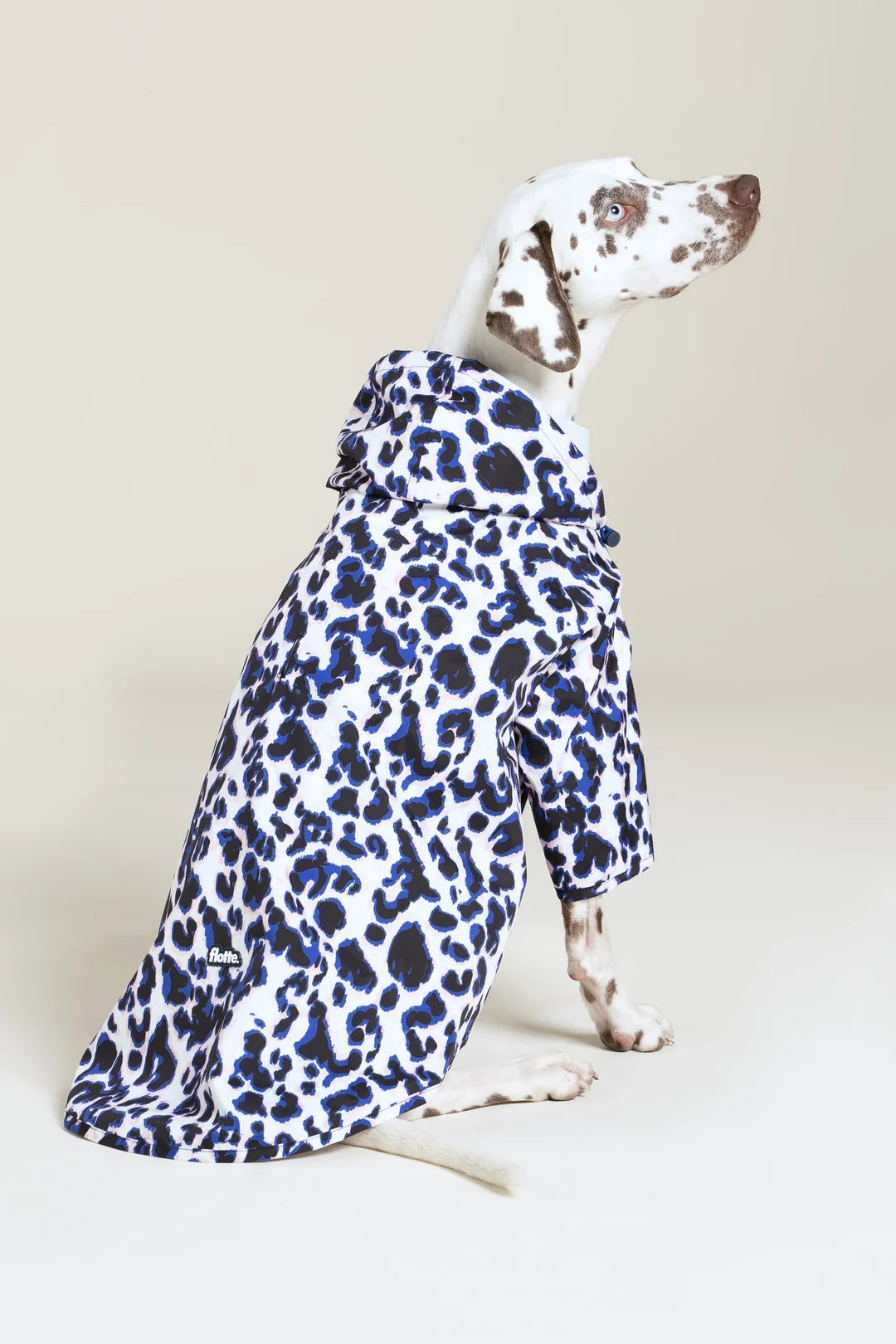 Imperméable pour chien Boulogne - Flotte.