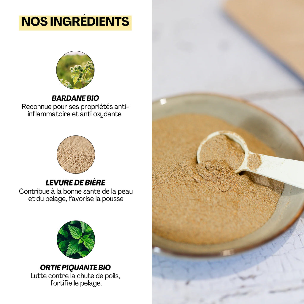 Aliment complémentaire pour un poil éclatant - Dexter&Mango