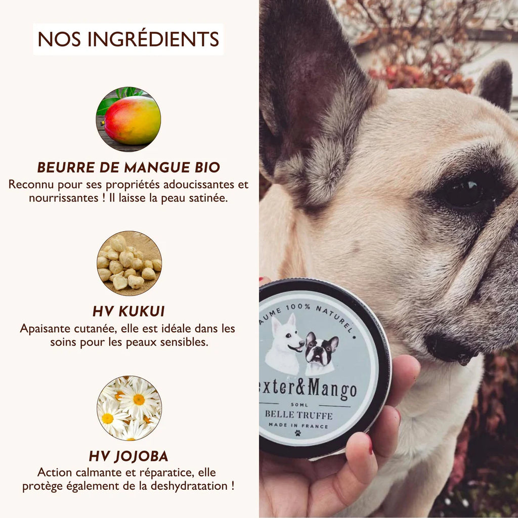 Baume truffe chien - Dexter&Mango