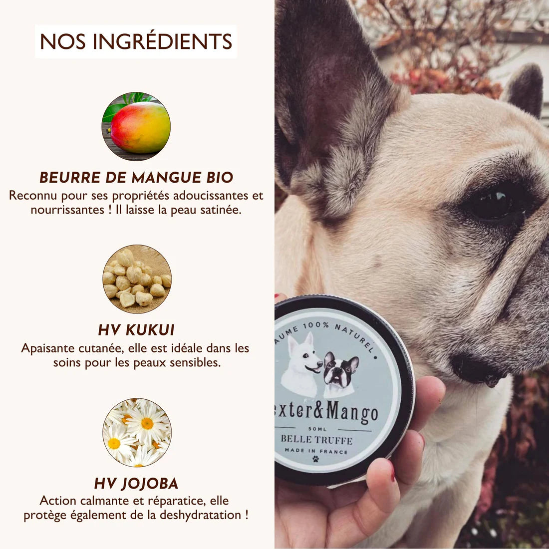 Baume truffe chien - Dexter&Mango