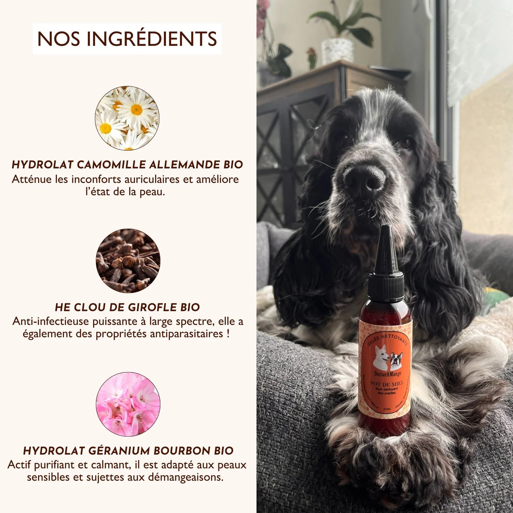 Nettoyant oreille chien - Dexter&Mango