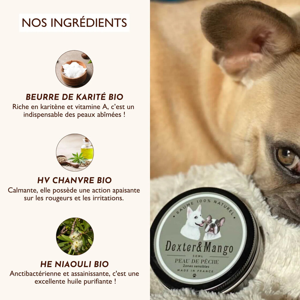 Baume irritation peau du chien - Dexter&Mango
