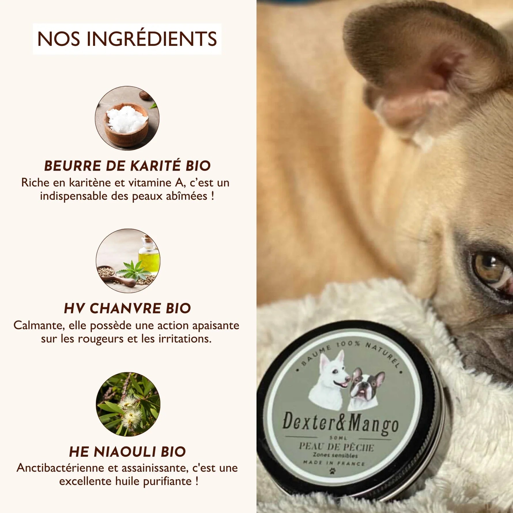 Baume irritation peau du chien - Dexter&Mango