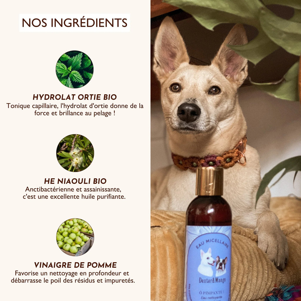 Eau micellaire pour chien nettoyante - Dexter&Mango