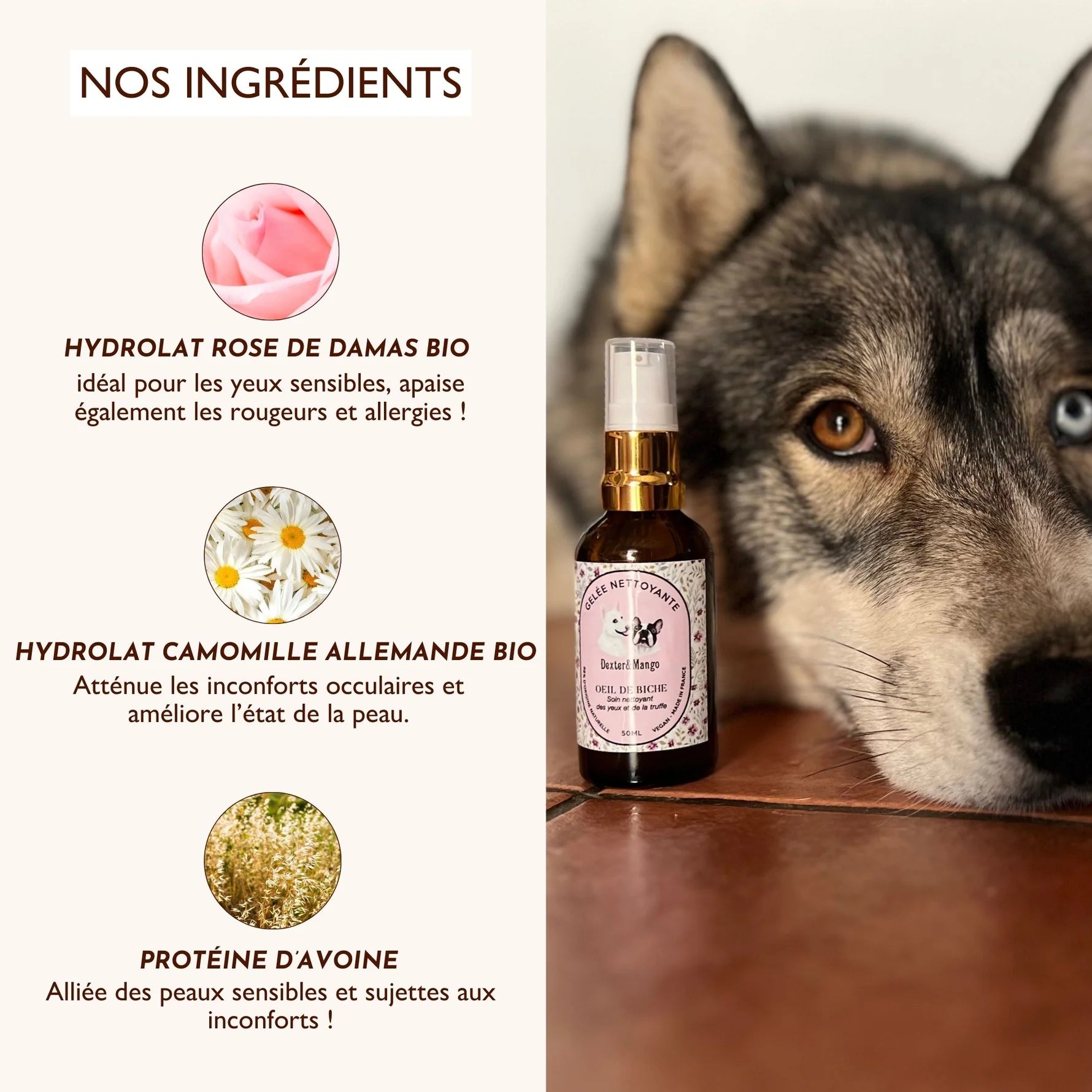 Nettoyant yeux chien - Dexter&Mango