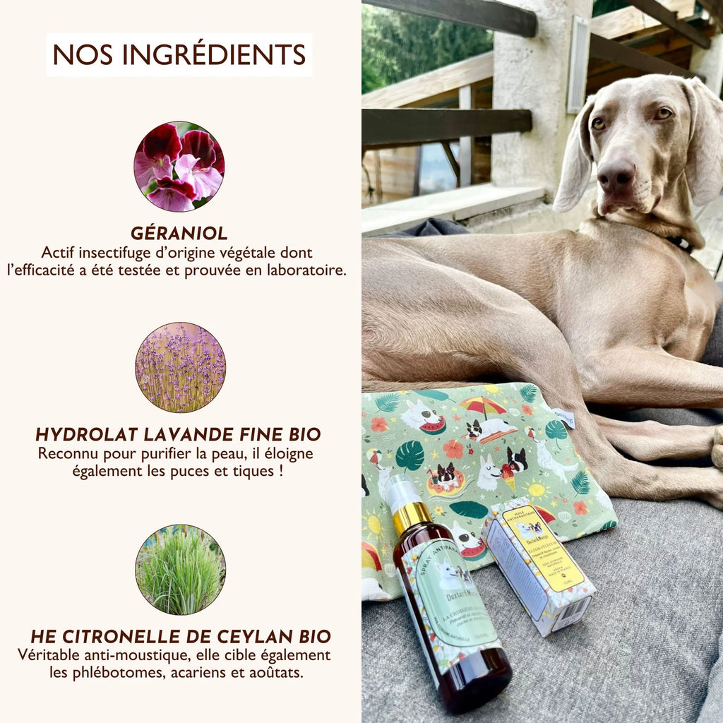 Lotion antiparasitaire - Dexter&Mango