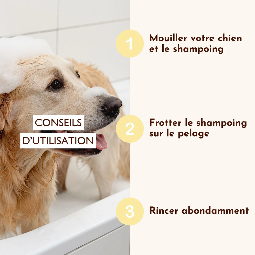Shampoing solide universel pour chien - Dexter&Mango