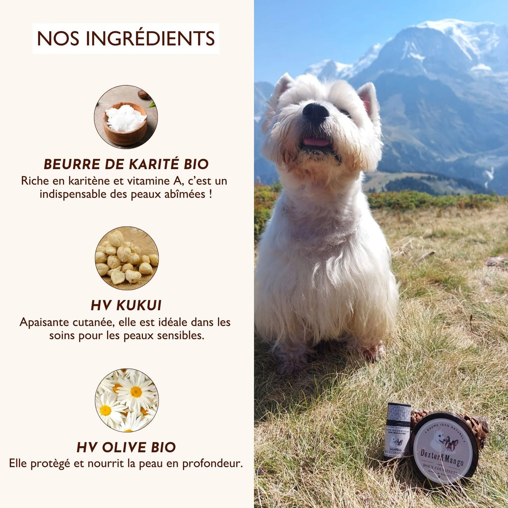 Stick baume coussinets - Dexter&Mango