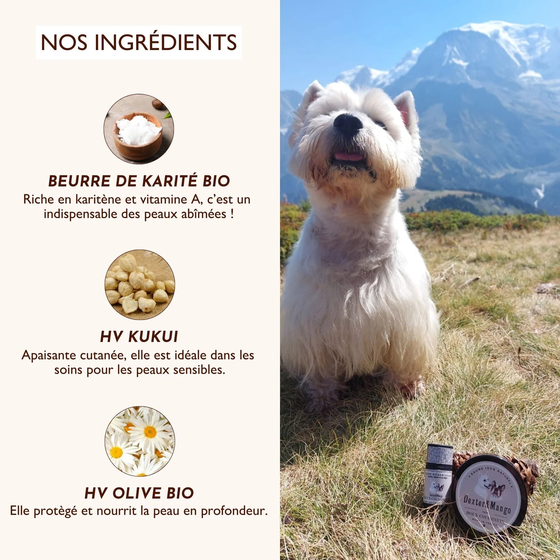 Stick baume coussinets - Dexter&Mango