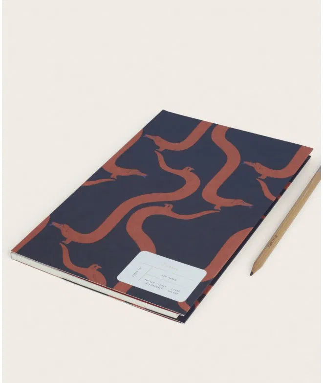 Journal Acrobatic - Season Paper
