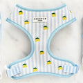 Harnais réglable Living La Vida Lemon - Cocopup London