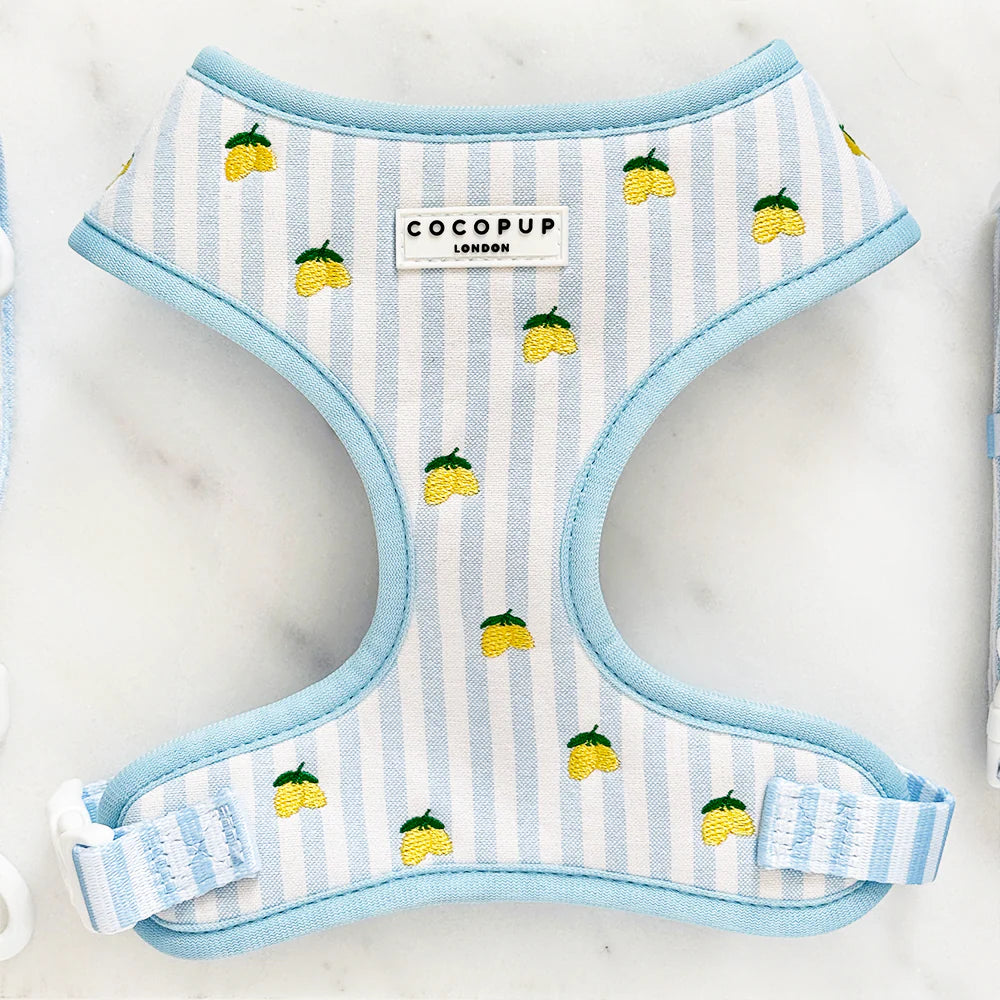 Harnais réglable Living La Vida Lemon - Cocopup London