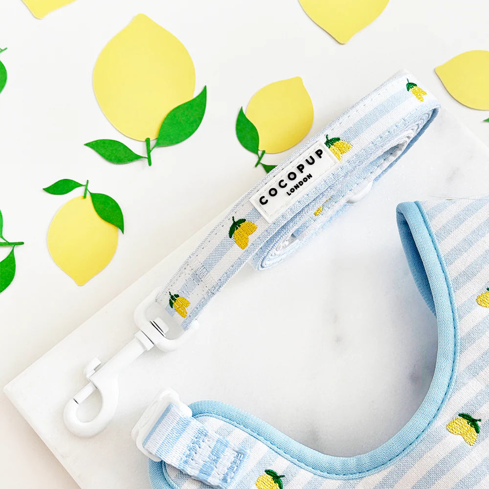 Laisse pour chiot Living La Vida Lemon - Cocopup London