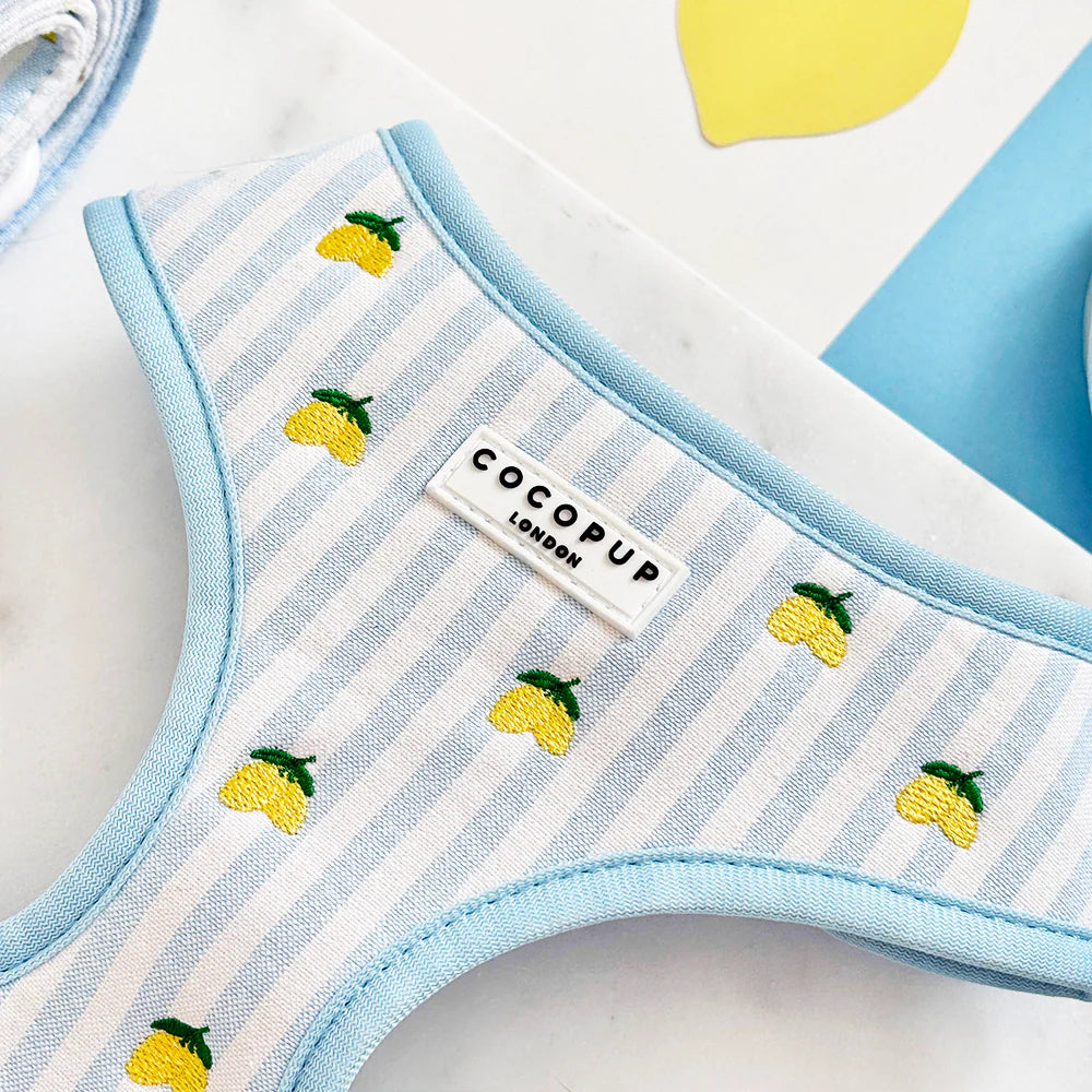 Harnais réglable Living La Vida Lemon - Cocopup London
