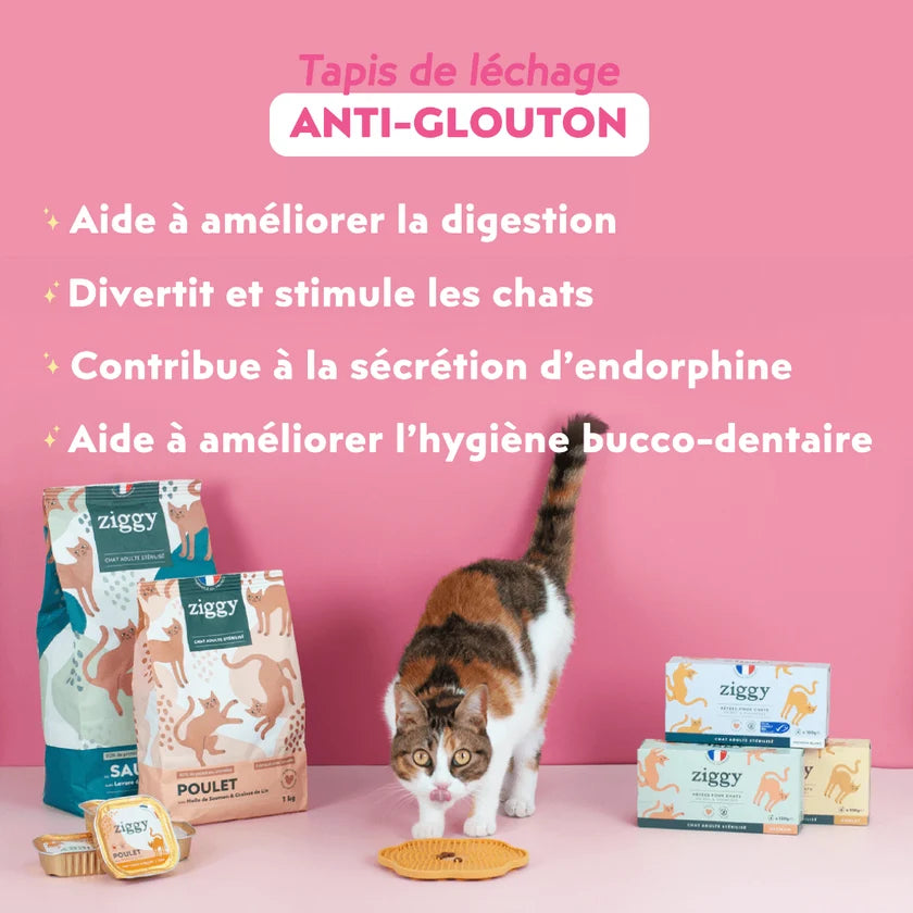 Tapis Anti-Glouton pour chat - Ziggy