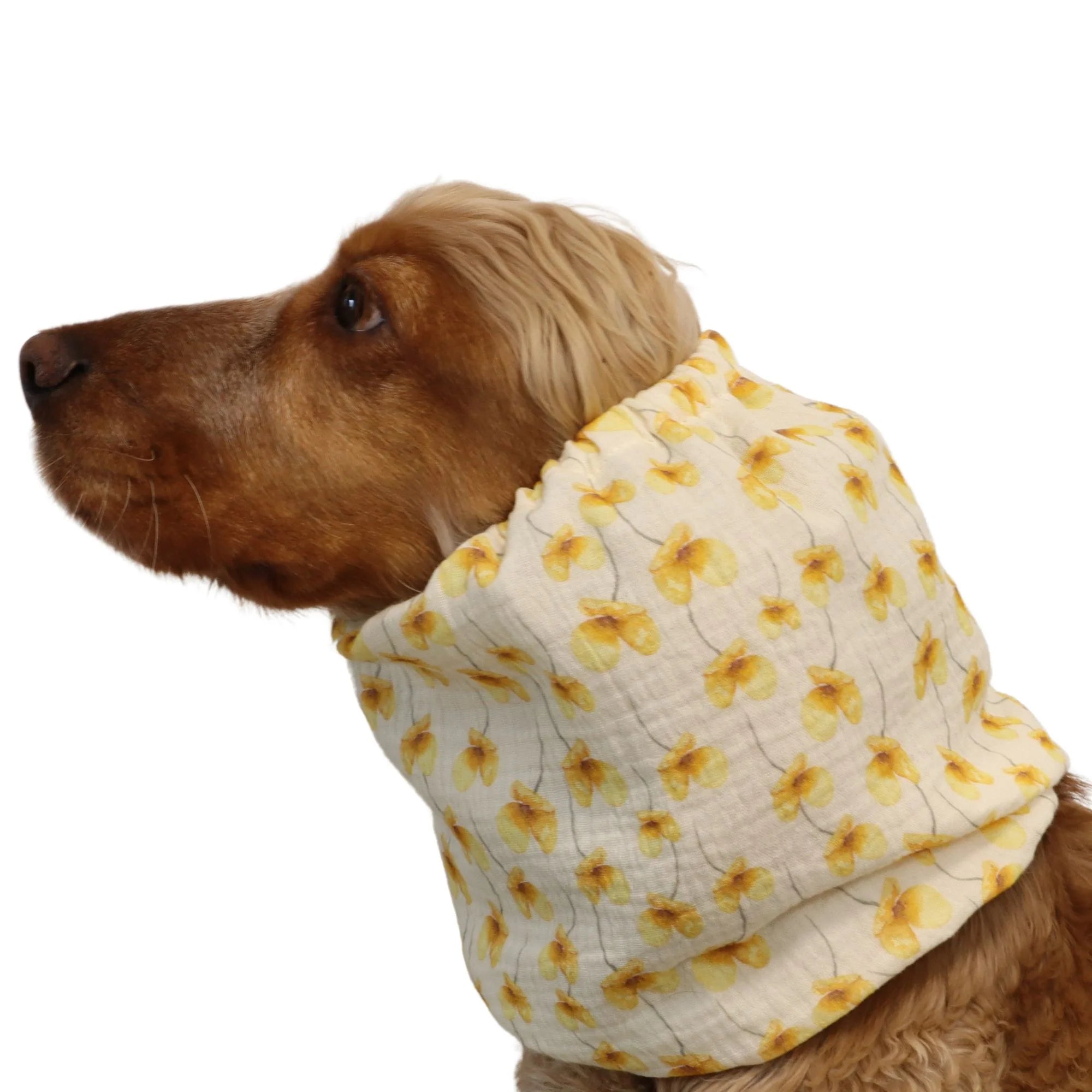 Snood en coton - Distinguish Me