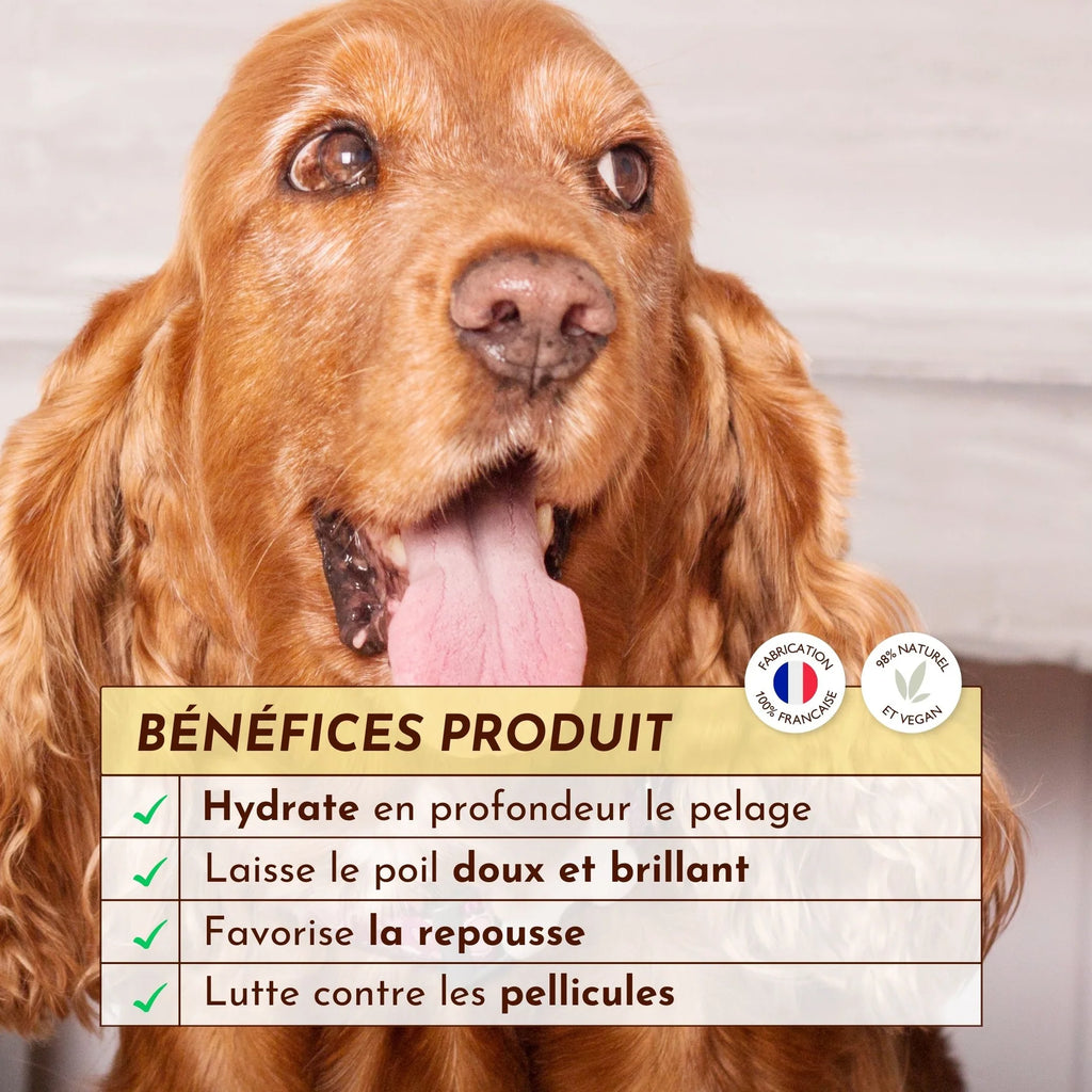 Lotion pour pelage chien et chat - Dexter&Mango