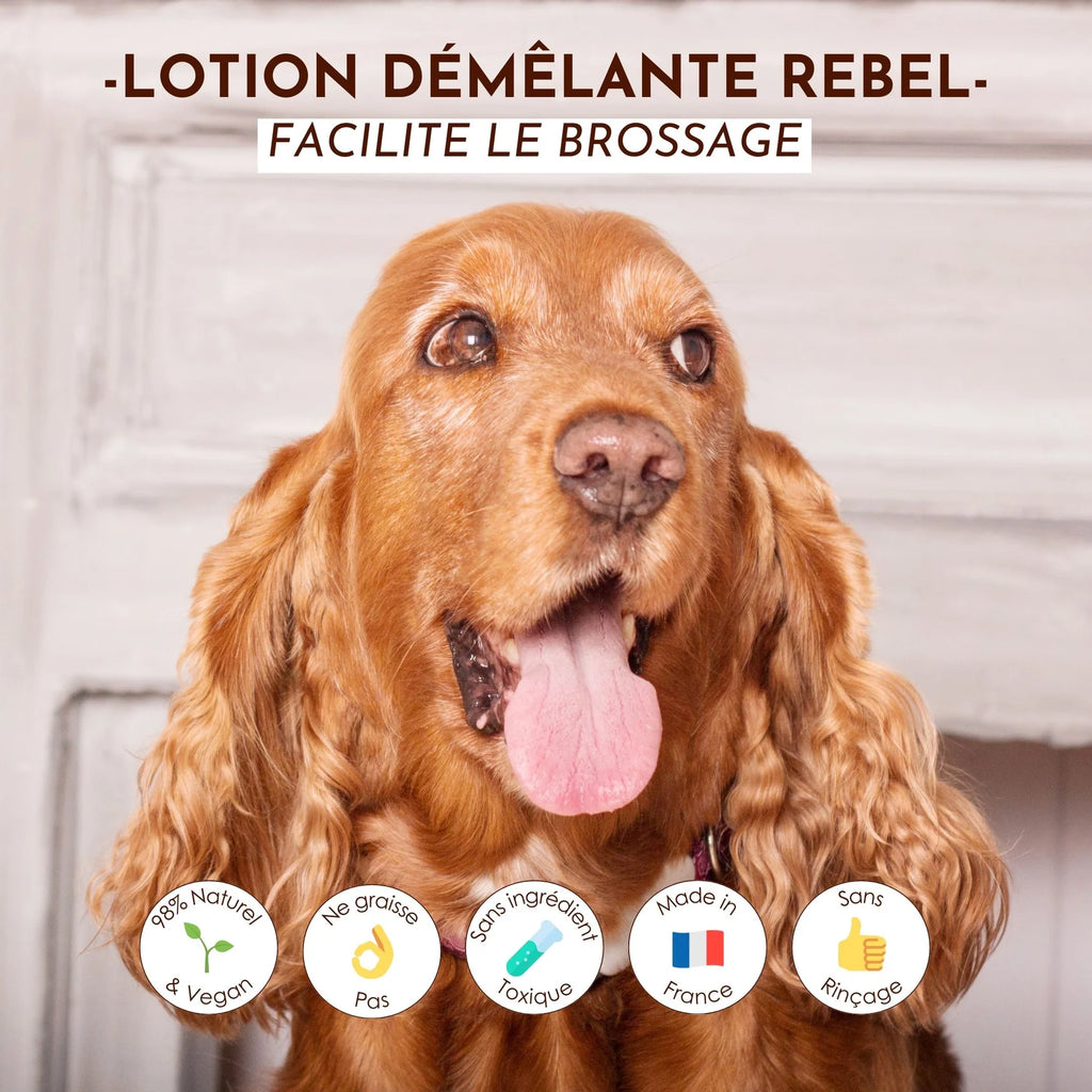 Démélant chien et chat - Dexter&Mango