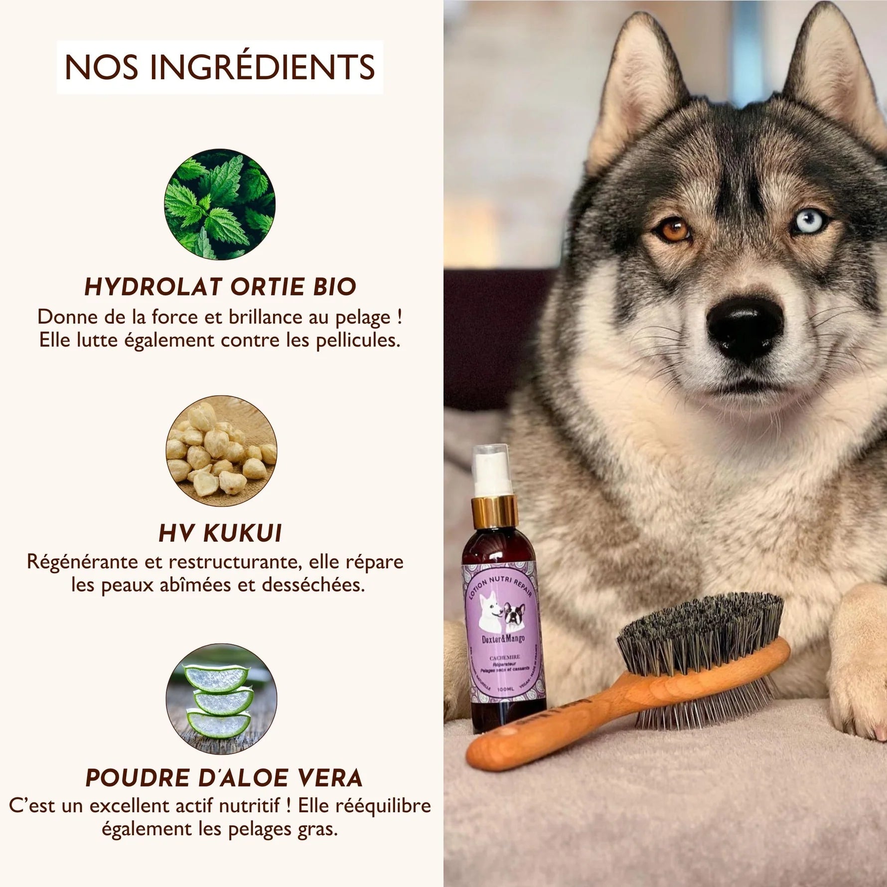 Lotion pour pelage chien et chat - Dexter&Mango