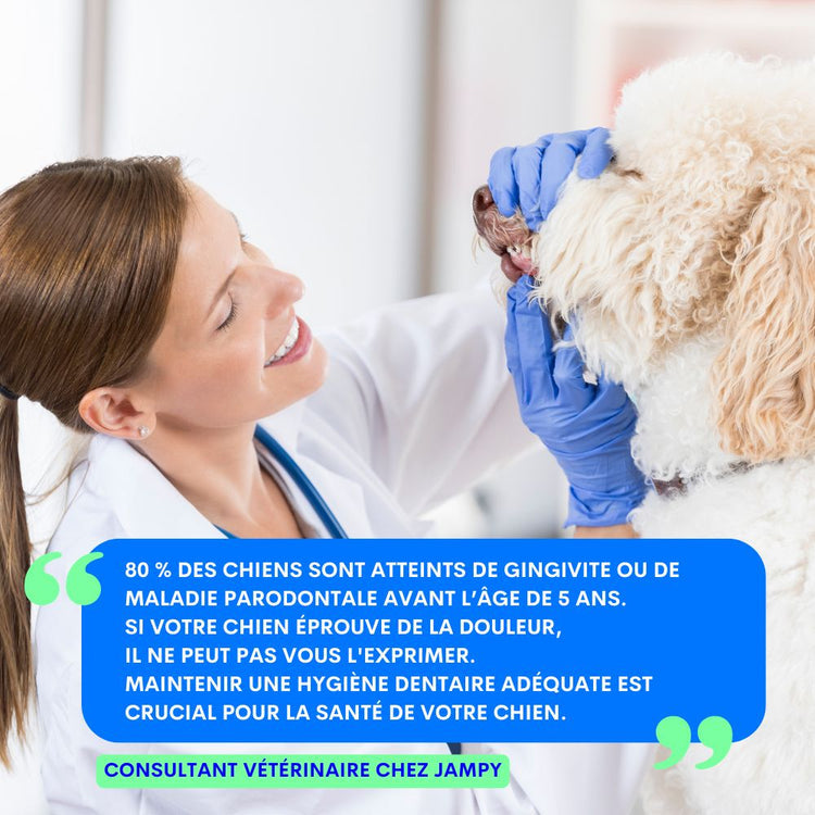 Spray hygiène dentaire - Jampy