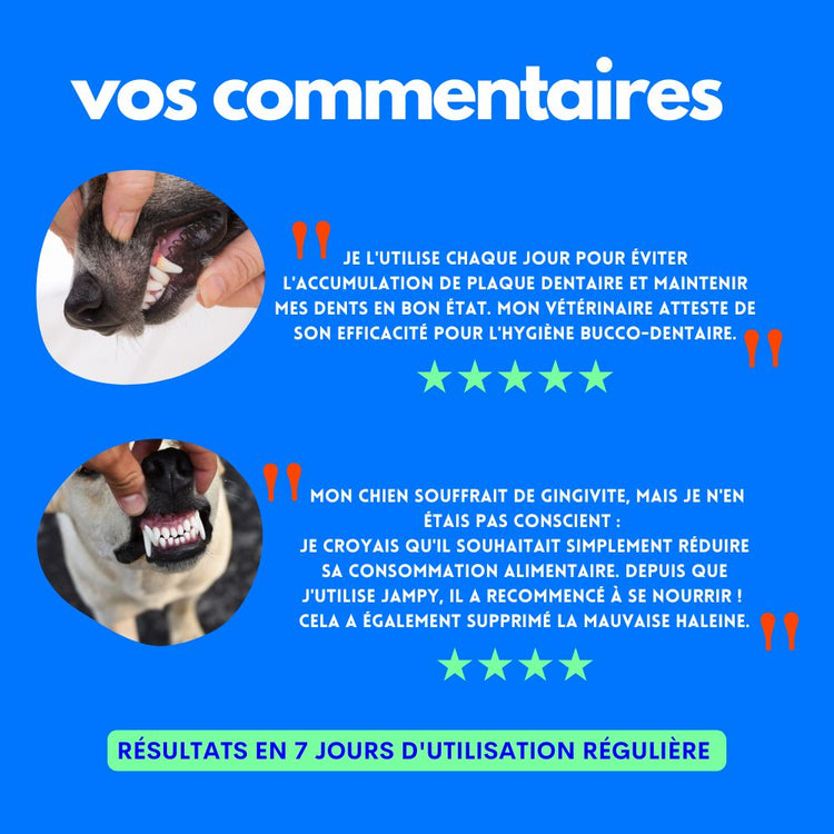 Spray hygiène dentaire - Jampy