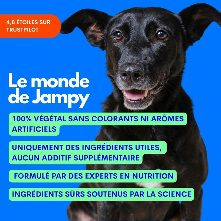 The Good Boy 120g - Jampy