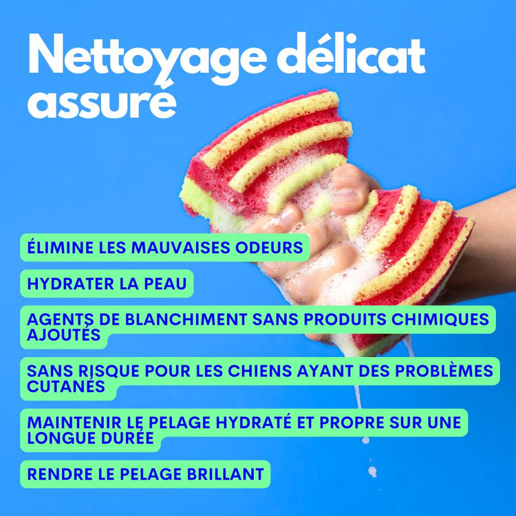 Shampoig et après-shampoing - Jampy