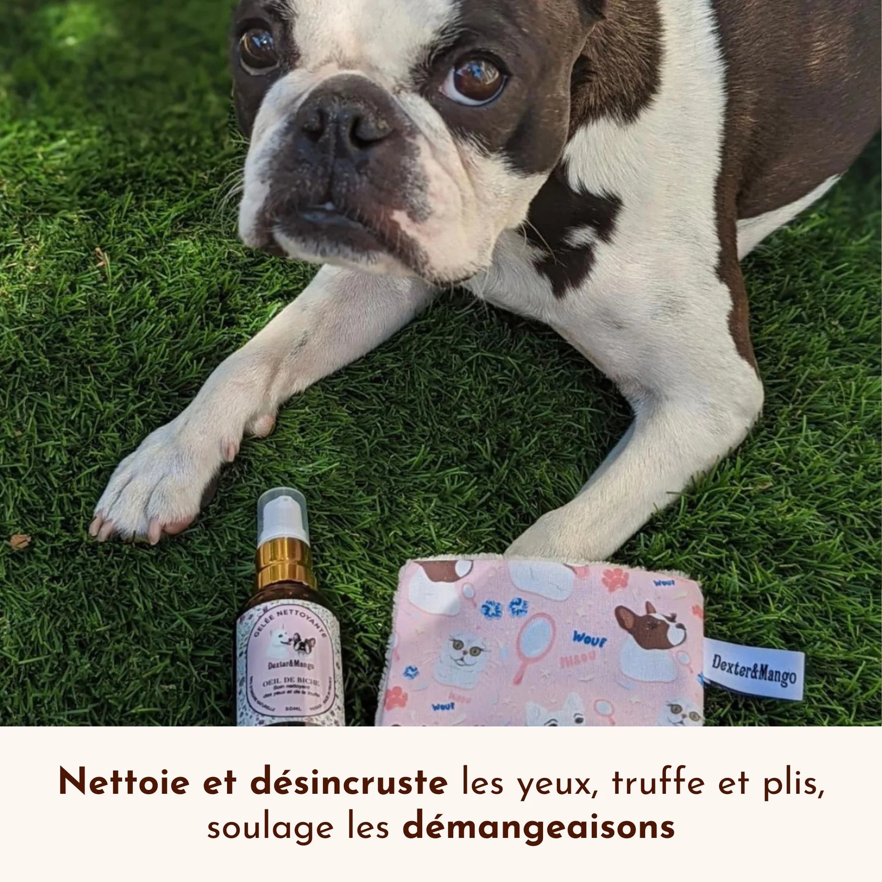 Nettoyant yeux chien - Dexter&Mango