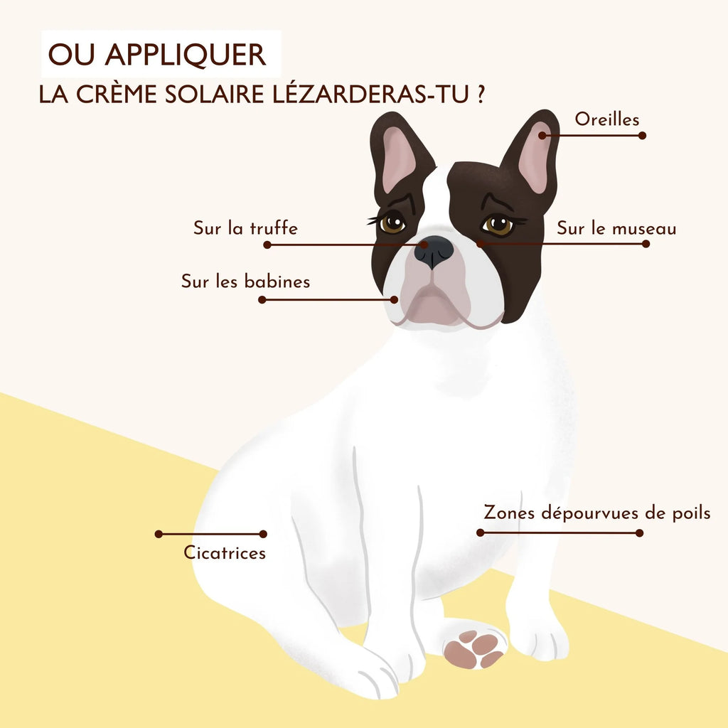 Crème solaire chien et chat SPF30 - Dexter&Mango