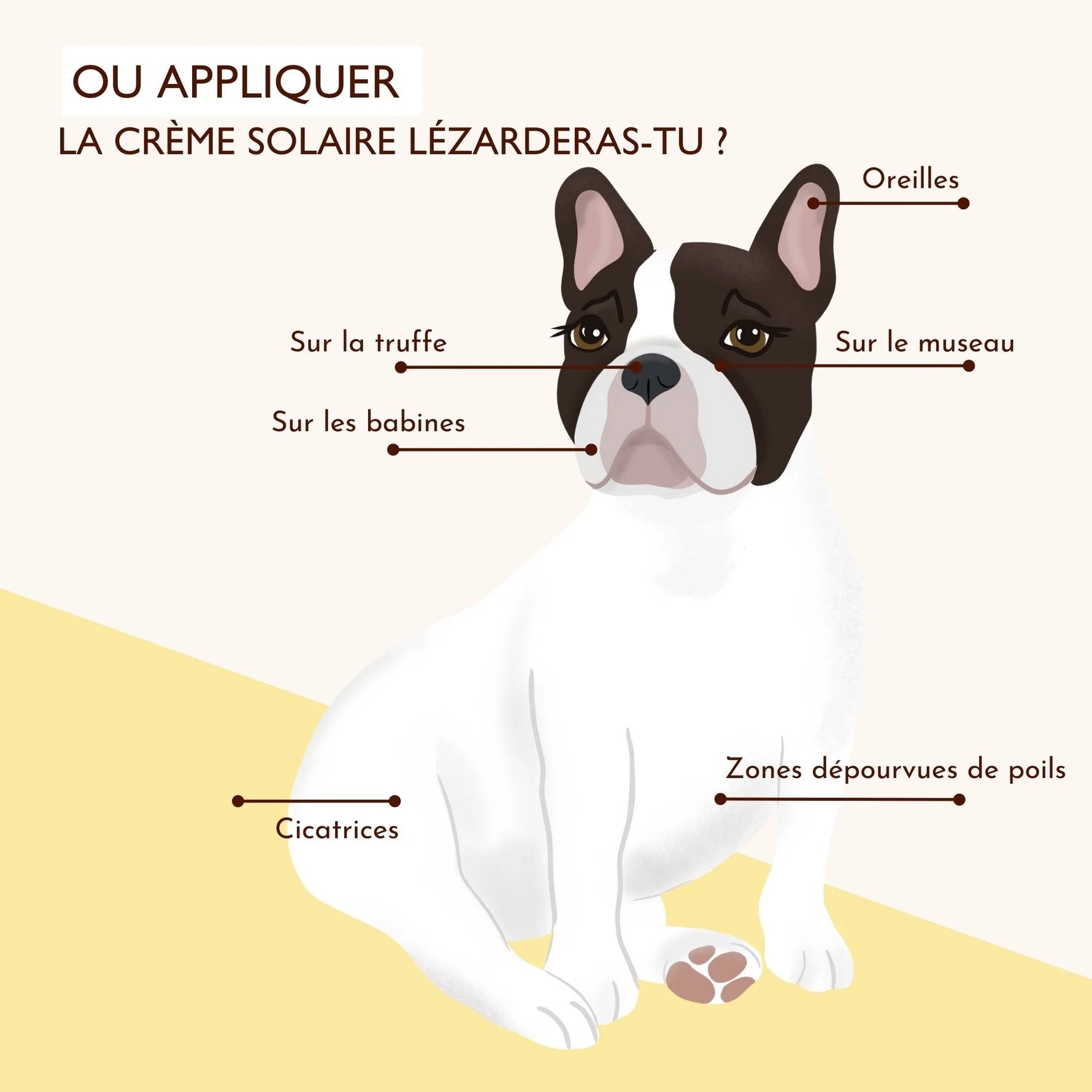 Crème solaire chien et chat SPF30 - Dexter&Mango