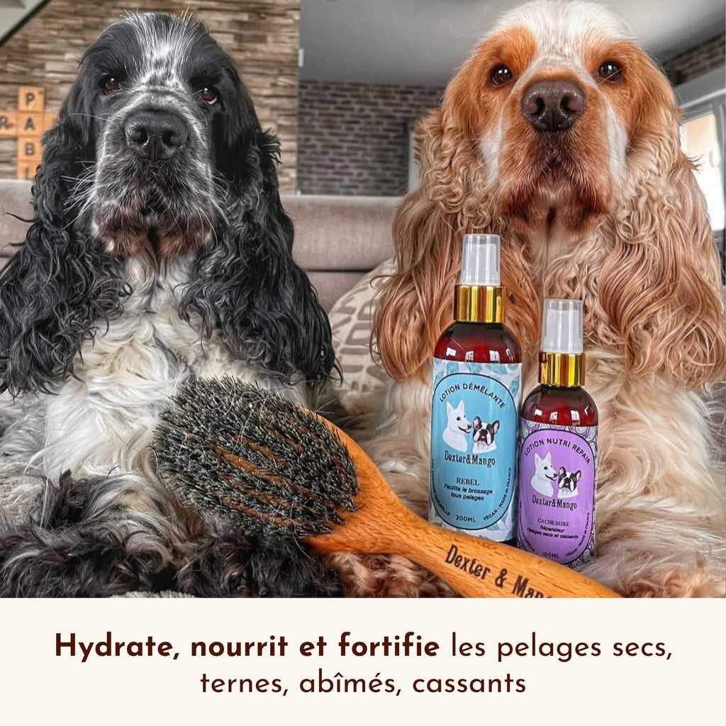 Lotion pour pelage chien et chat - Dexter&Mango
