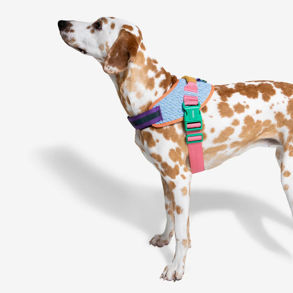 Harnais avec poignée Flyharness Galaxy - Zee.dog (Taille 3)