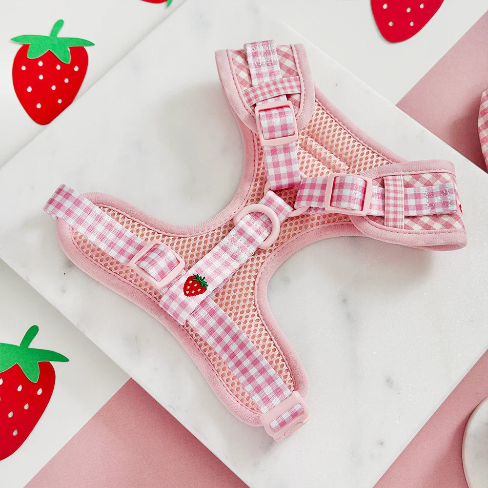Harnais réglable Strawberry Picnic Pup - Cocopup London