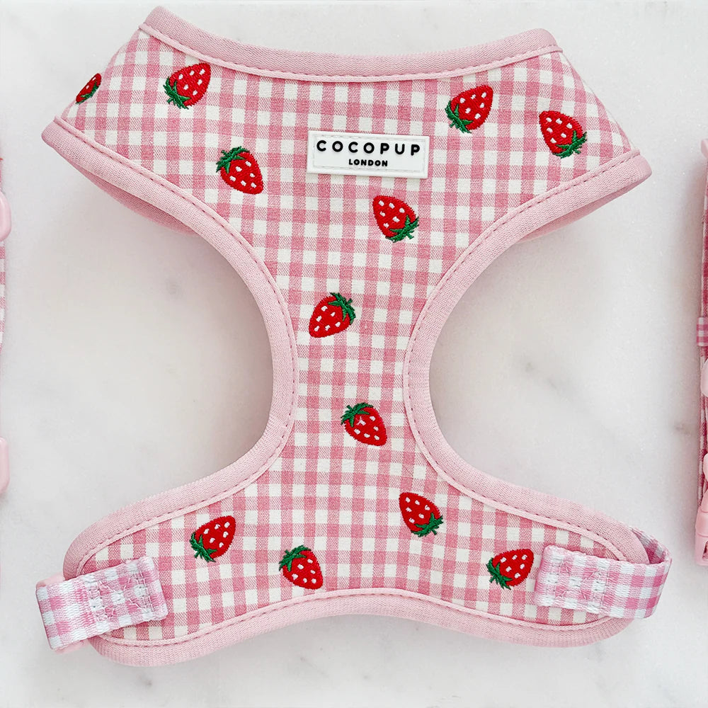 Harnais réglable Strawberry Picnic Pup - Cocopup London