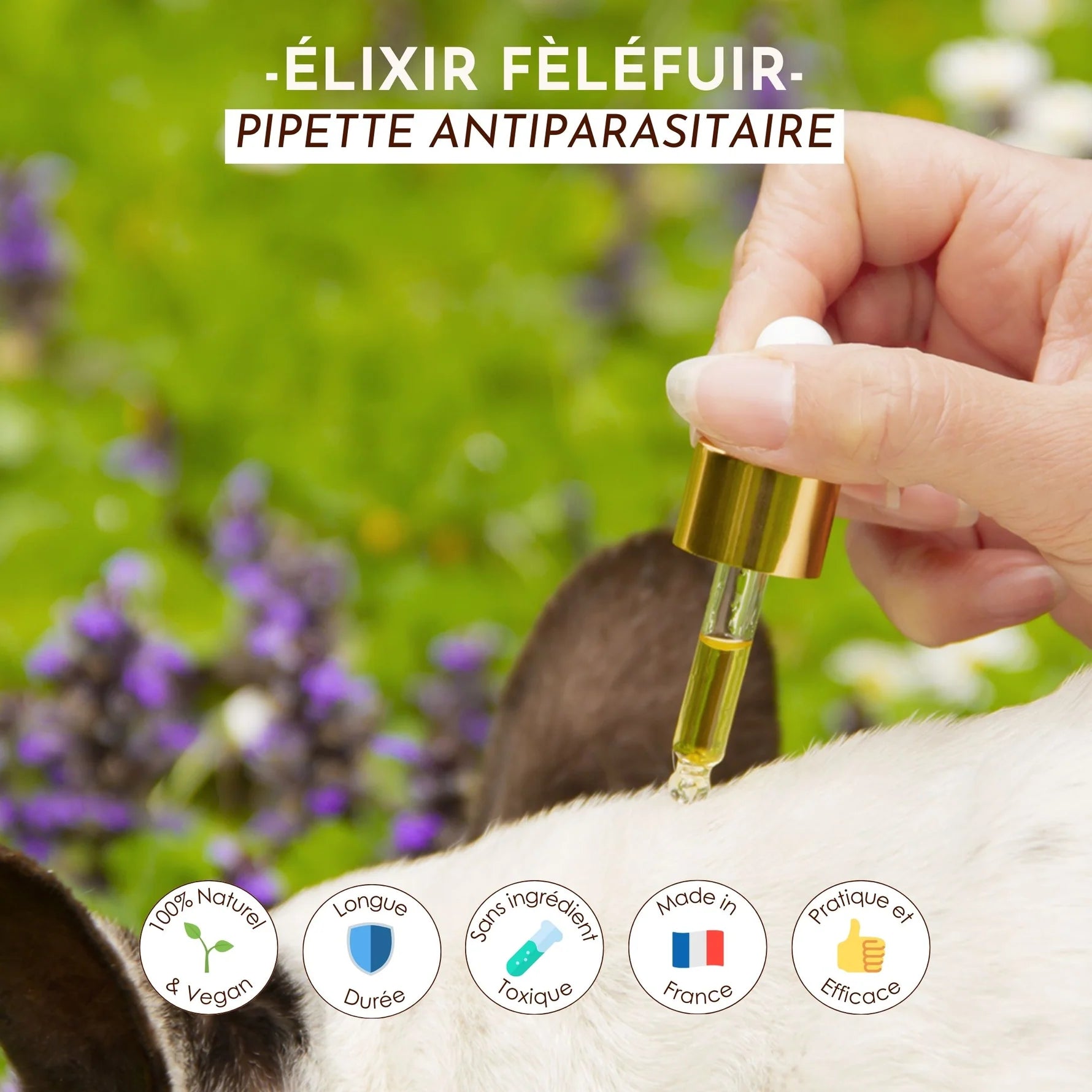 Antiparasitaire pour chien - Dexter&Mango