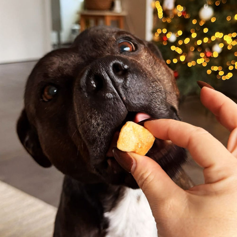 Dés de fromage soufflés pour chien POPPY - évident