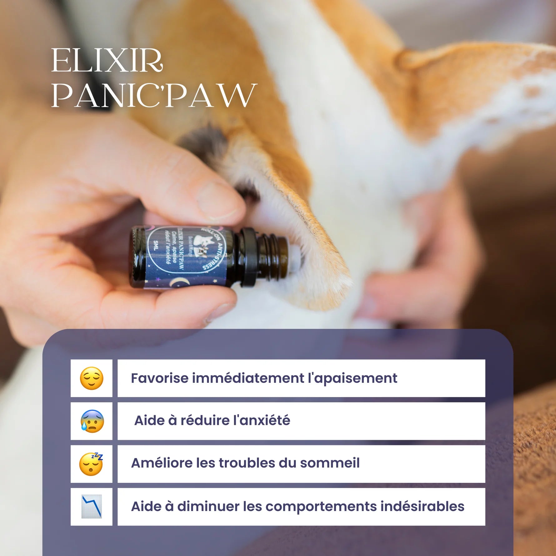 Roll-on anti-stress chien - Dexter&Mango