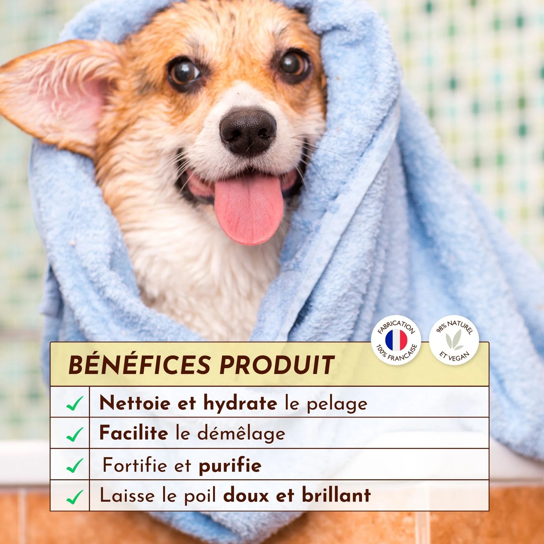 Shampoing solide universel pour chien - Dexter&Mango