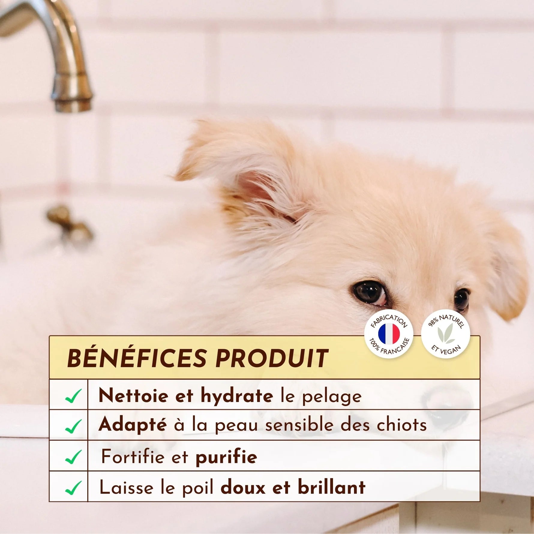 Shampoing solide pour chiot - Dexter&Mango