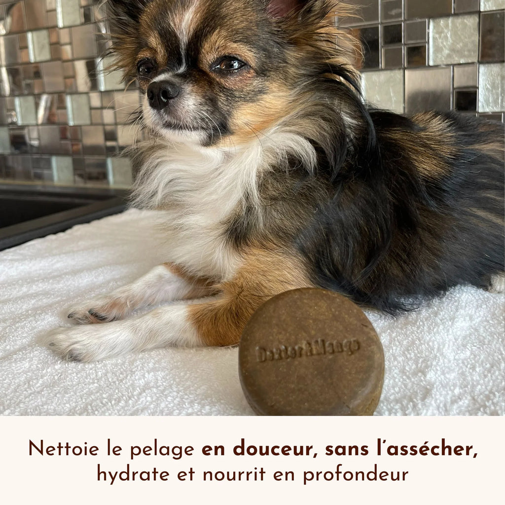 Shampoing solide pour chiot - Dexter&Mango