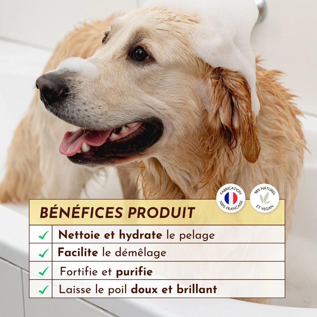 Shampoing pour chien liquide - Dexter&Mango