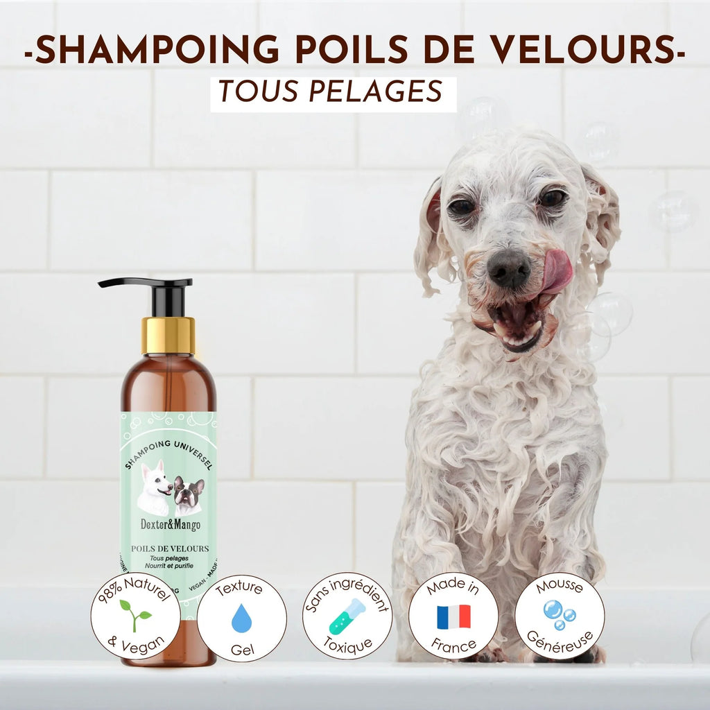 Shampoing pour chien liquide - Dexter&Mango