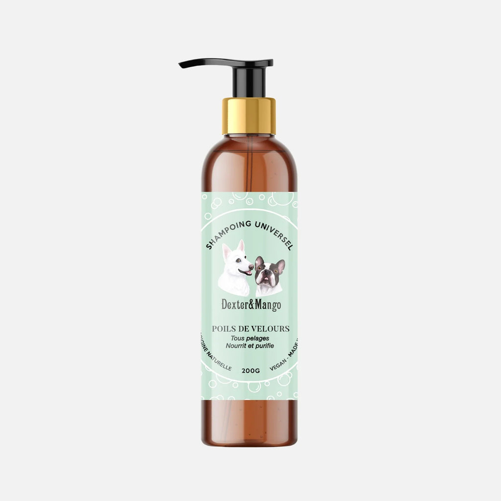 Shampoing pour chien liquide - Dexter&Mango