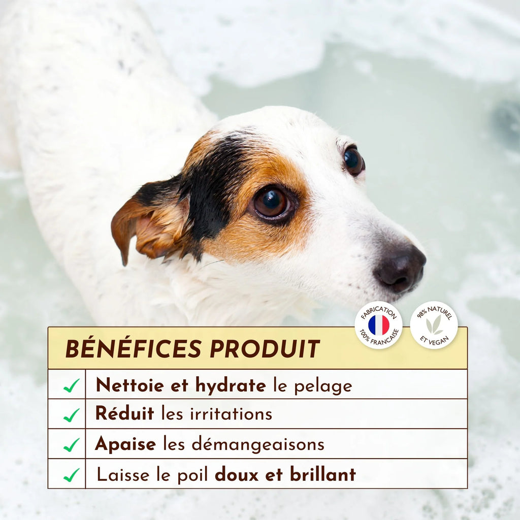 Shampoing solide pour chien - Dexter&Mango