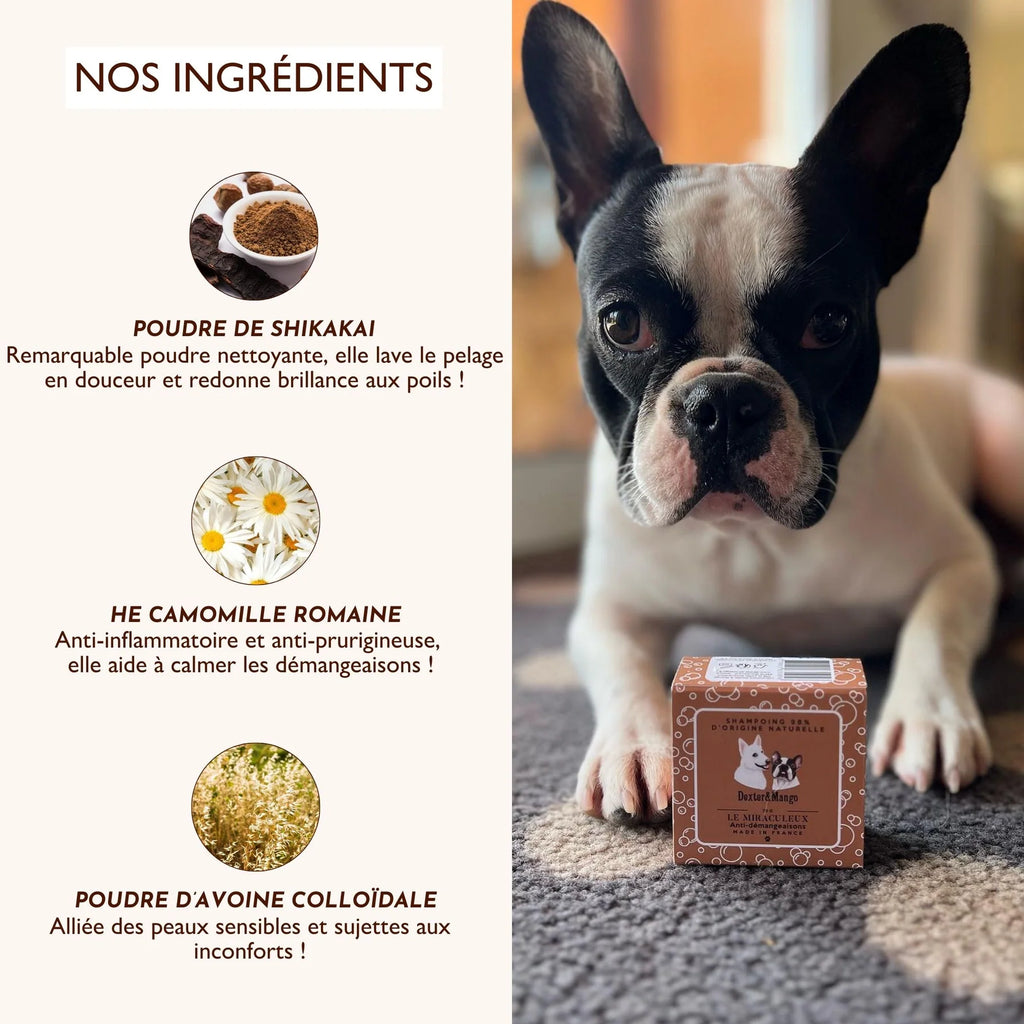 Shampoing solide pour chien - Dexter&Mango
