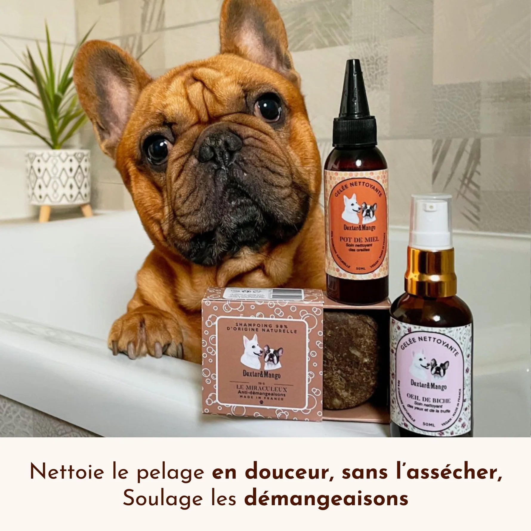 Shampoing solide pour chien - Dexter&Mango