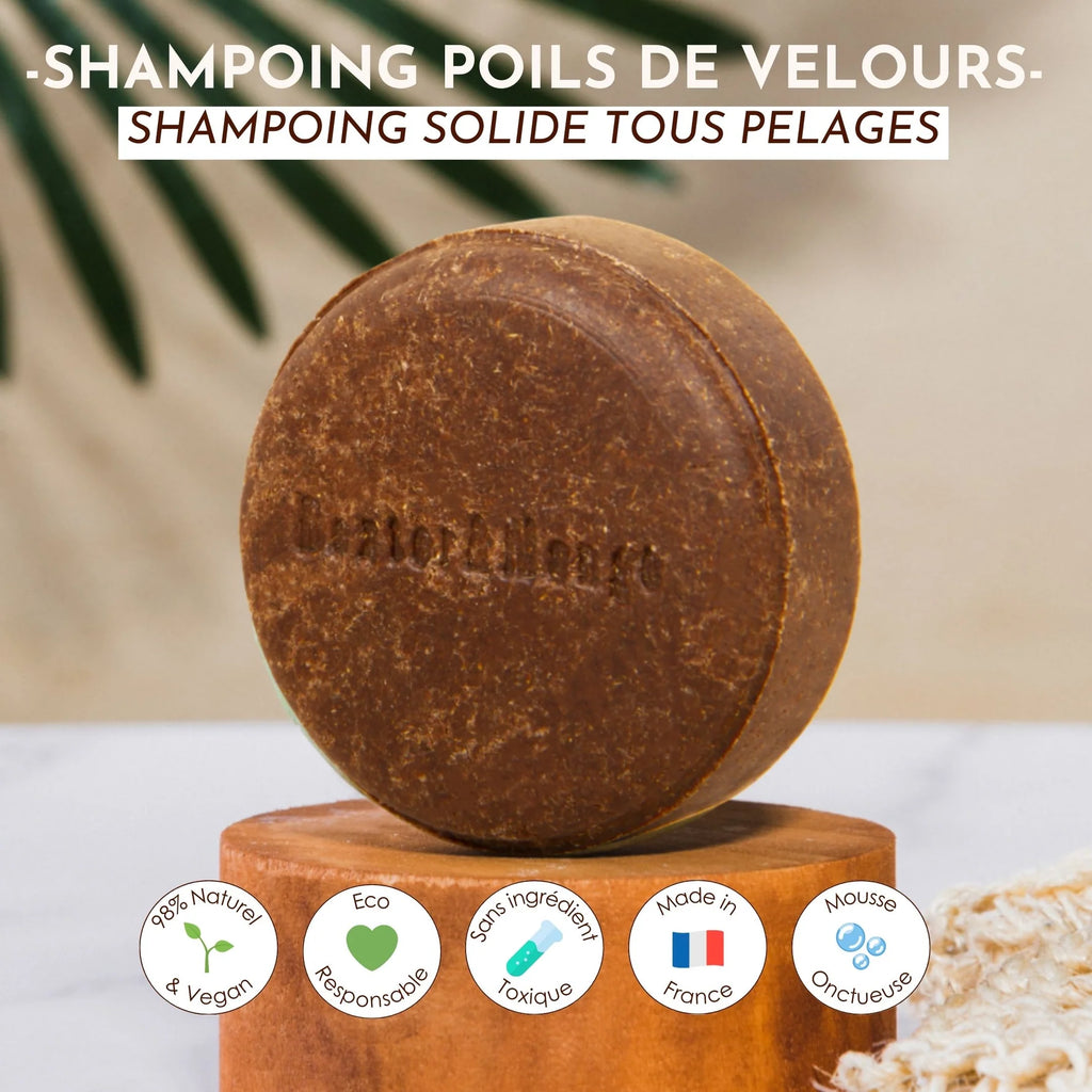 Shampoing solide universel pour chien - Dexter&Mango